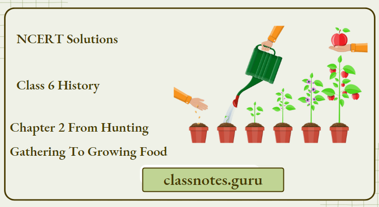 NCERT Solutions For Class 6 History Chapter 2 From Hunting Gathering To Growing Food