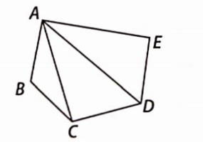 Name the vertices and the line segments