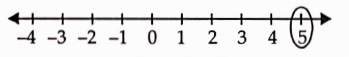 Represent the following numbers on a number line -5
