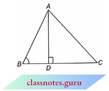 Triangle ABC Is An Acute Angled Triangle And AD Is Perpendicular To BC