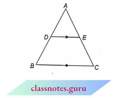 Triangle In Adjoining By Using Thales Theorem
