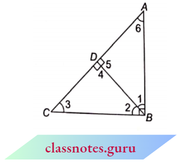Triangle In The Triangle BD Is Perpendicular To AC
