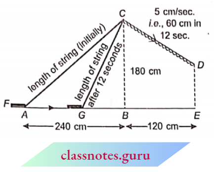 Triangle The Horizontal Distance Of Fly G From E Will Be EG
