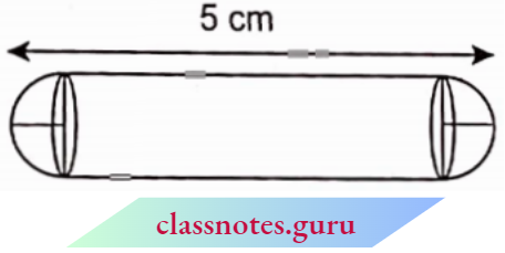 Volume And Surface Area Of Solids A Gulab Jamun