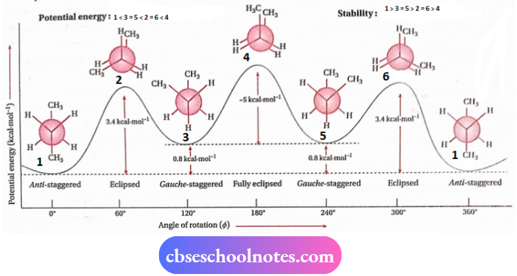 CBSE Chemsitry Notes For Class 11 Hydrocarbons The Potential Energy Changes Rotation Of Bond Of n Butane