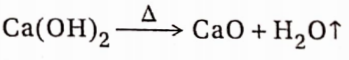 CBSE Class 11 Chemistry Notes For Chapter 10 S Block Elements Action Of Heat
