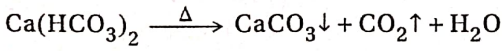 CBSE Class 11 Chemistry Notes For Chapter 10 S Block Elements Reaction With Carbon Dioxide