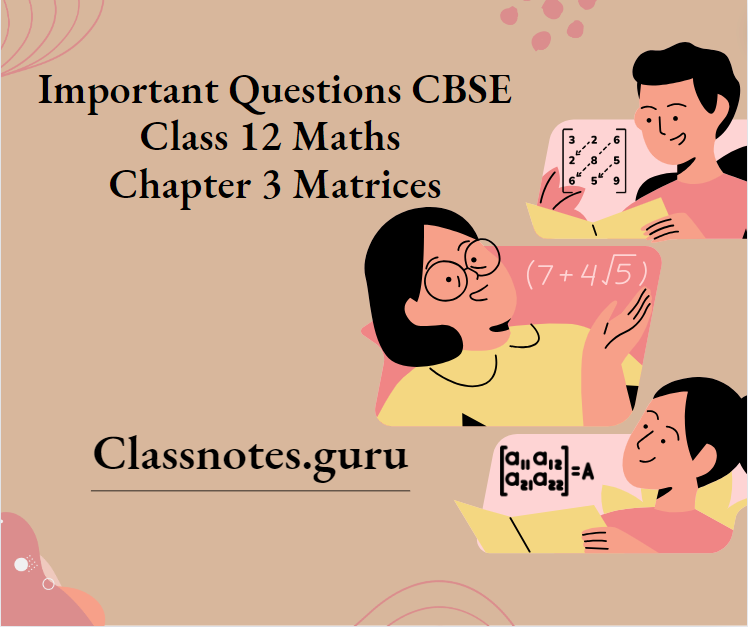 Important Questions CBSE Class 12 Maths Chapter 3