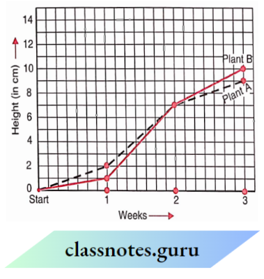 NCERT Class 8 Maths Chapter 13 Introduction To Graphs The Experiment In Botany