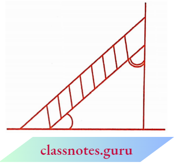 NCERT Notes For Class 6 Chapter 5 Understanding Elementary Shapes Angles Acute, Obtuse And Reflex