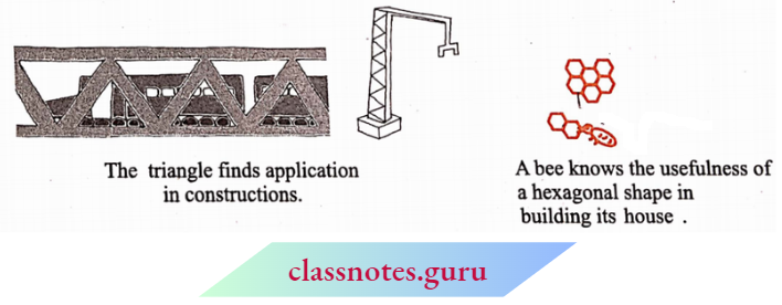 NCERT Notes For Class 6 Chapter 5 Understanding Elementary Shapes Polygons