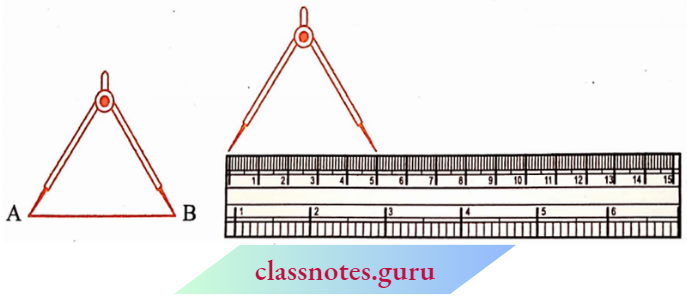 NCERT Notes For Class 6 Chapter 5 Understanding Elementary Shapes The Divider To Measure Length