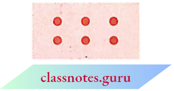 NCERT Notes For Class 6 Math Chapter 3 Playing With Numbers 3 Marble In Each Row