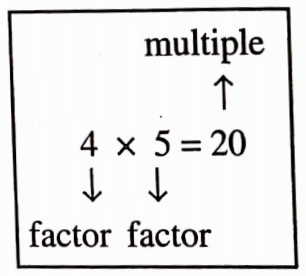 NCERT Notes For Class 6 Math Chapter 3 Playing With Numbers The Card