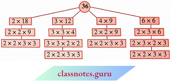 NCERT Notes For Class 6 Math Chapter 3 Playing With Numbers The Prime Fraction Of 36