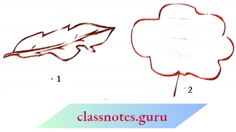 NCERT Notes For Class 6 Maths Chapter 10 Mensuration Closed Figure Of Area
