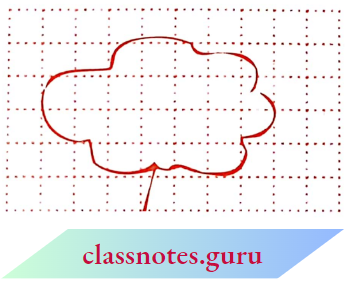 NCERT Notes For Class 6 Maths Chapter 10 Mensuration Square Estimate The Area