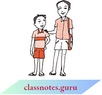 NCERT Notes For Class 6 Maths Chapter 11 Algebra Raju And Balu Are Brothers