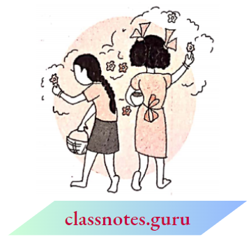 NCERT Notes For Class 6 Maths Chapter 12 Ratio And Proportion Avnee And Shari Collected Flowers For Scrap Notebook