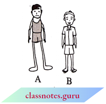 NCERT Notes For Class 6 Maths Chapter 12 Ratio And Proportion Comparing Two Quantities Of Same Type In Different Units