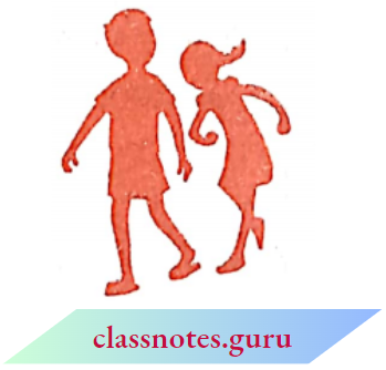 NCERT Notes For Class 6 Maths Chapter 12 Ratio And Proportion Rahim And Anvee Heigth Measurments