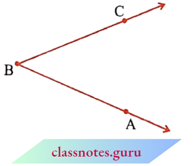 NCERT Notes For Class 6 Maths Chapter 4 Basic Geometrical Numbers Any Angle