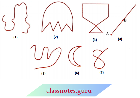 NCERT Notes For Class 6 Maths Chapter 4 Basic Geometrical Numbers Curves