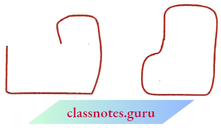 NCERT Notes For Class 6 Maths Chapter 4 Basic Geometrical Numbers Open And Closed Curves