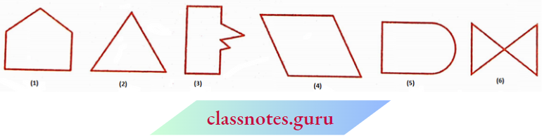 NCERT Notes For Class 6 Maths Chapter 4 Basic Geometrical Numbers Polygons