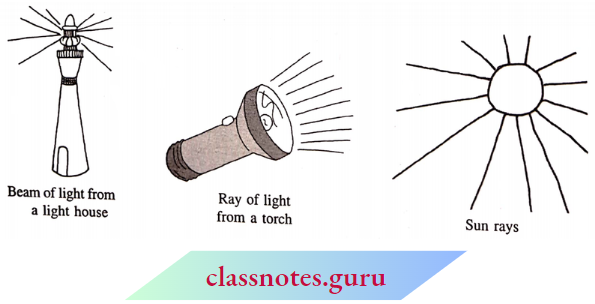 NCERT Notes For Class 6 Maths Chapter 4 Basic Geometrical Numbers Rays