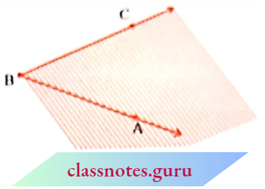 NCERT Notes For Class 6 Maths Chapter 4 Basic Geometrical Numbers Shaded In Different Colour The Portion Of The Paper Bordering