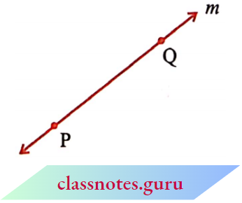 NCERT Notes For Class 6 Maths Chapter 4 Basic Geometrical Numbers The Adjacent Diagram