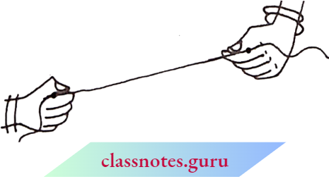 NCERT Notes For Class 6 Maths Chapter 4 Basic Geometrical Numbers The End sHeld By Hands Are The End Points Of The Line Segment