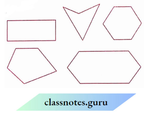 NCERT Solutions For Class 8 Maths Chapter 3 Understanding Quadrilaterals Curves Are Examples For A Polygon