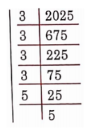 NCERT Solutions For Class 8 Maths Chapter 5 Squares And Square Roots Factorisation Is 2025 Plants Are Obtained In A Garden