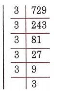 NCERT Solutions For Class 8 Maths Chapter 5 Squares And Square Roots The Prime Factorisation 729