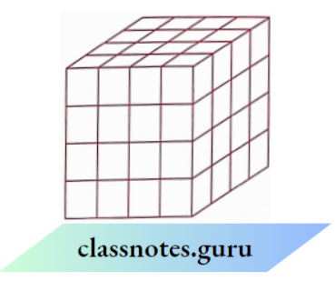 NCERT Solutions For Class 8 Maths Chapter 9 Mensuration 8 Cubes Have 3 Faces Painted.