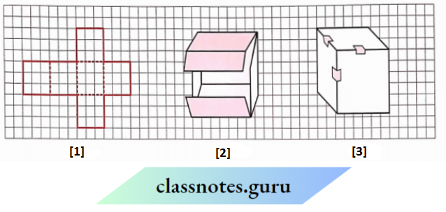 NCERT Solutions For Class 8 Maths Chapter 9 Mensuration Squared Paper Cube