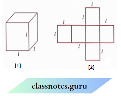 NCERT Solutions For Class 8 Maths Chapter 9 Mensuration Width And Height Of The Cube