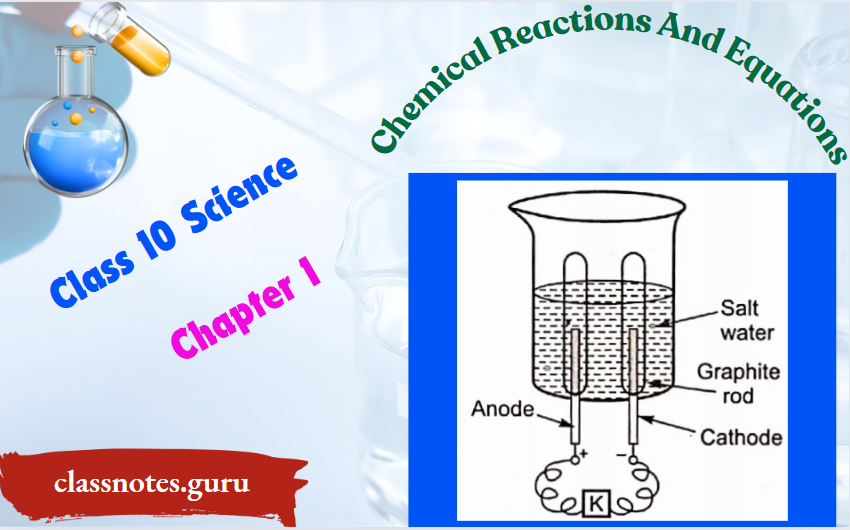 NCERT Solutions For Class 10 Science Chapter 1 Chemical Reactions And Equations Gases Evolved