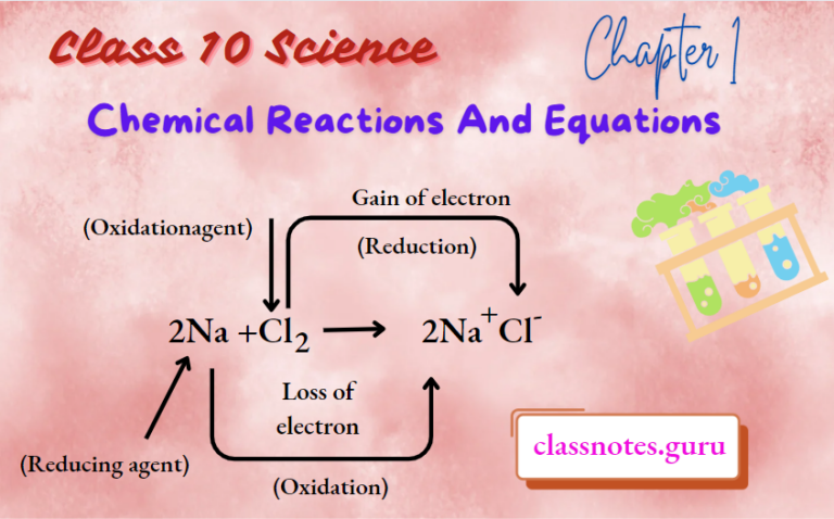 NCERT Solutions For Class 10 Science Chapter 1 Chemical Reactions And ...