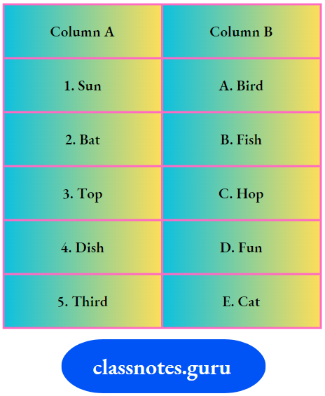 Mridang Class 2 English Solutions Chapter 3 It Is Fun Match The Words GIven In Column A That Rhyme With Words From Poem In Column B