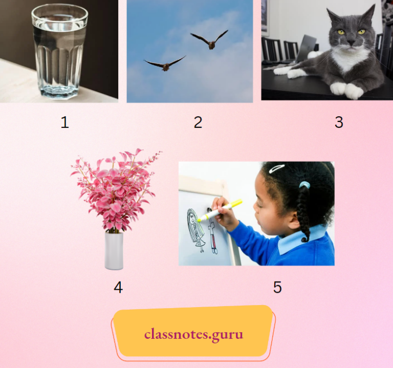 NCERT Class 2 English Mridang Solutions Chapter 7 This Is My Town