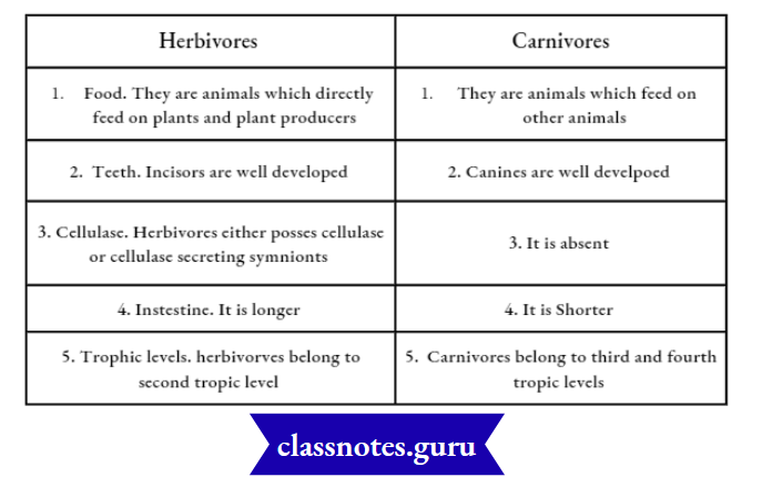 Environment Ecosystem What Are Its Components Difference Between Herbivores And Carnivores