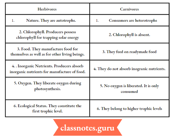 Environment Ecosystem What Are Its Components Difference Between Producers And Consumers
