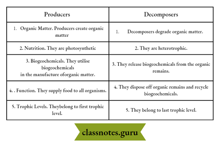 Environment Ecosystem What Are Its Components Difference Between Producers And Decompers