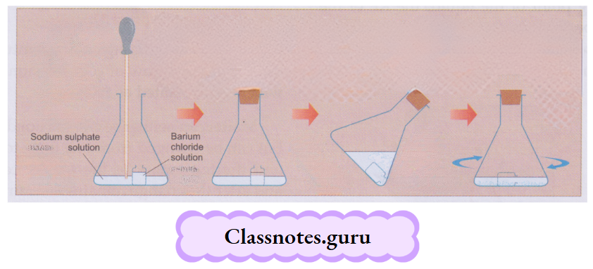 NCERT Class 8 Chemistry Chapter 1 Matter Conservation of mass in the reaction between sodium sulphate and barium chloride