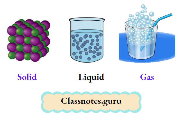 NCERT Class 8 Chemistry Chapter 1 Matter How molecules are held in solids, liquids, and gases