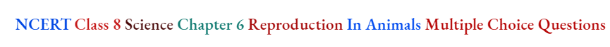 NCERT Class 8 Science Chapter 6 Reproduction In Animals Multiple Choice Questions