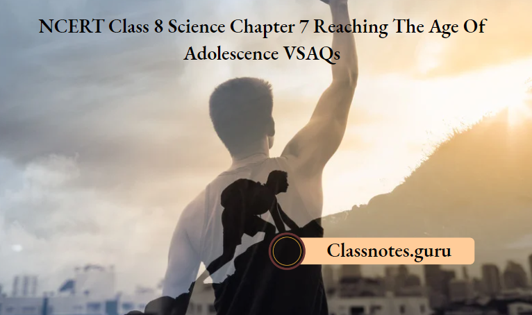 NCERT Class 8 Science Chapter 7 Reaching The Age Of Adolescence VSAQs